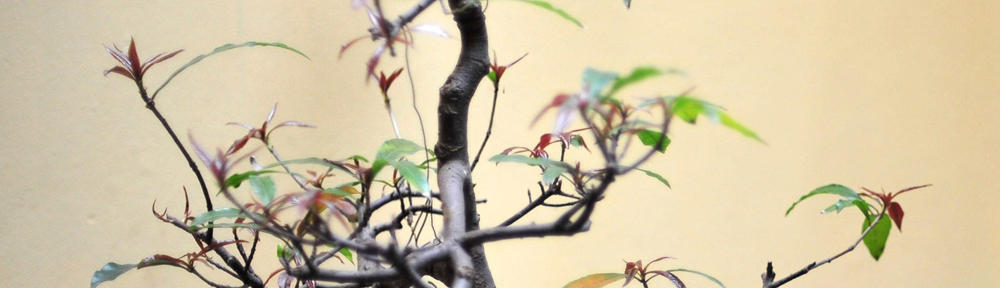 Willkommen bei Josef Aldenhoff